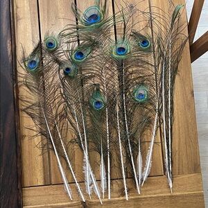 9 natural peacock feathers various sizes